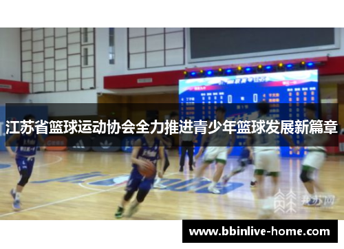 江苏省篮球运动协会全力推进青少年篮球发展新篇章