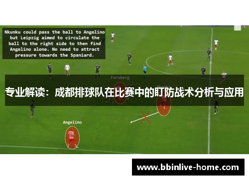 专业解读：成都排球队在比赛中的盯防战术分析与应用